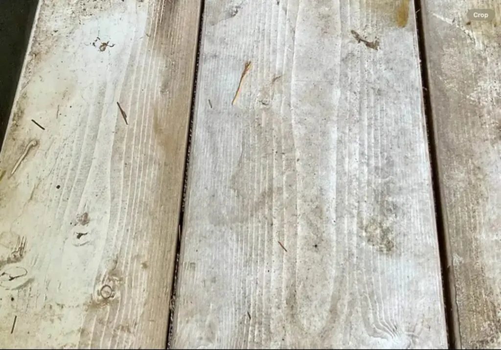 2007 Circle J 2 Horse Trailer – Slant Load – Close-up view of wooden floor planks inside the horse trailer