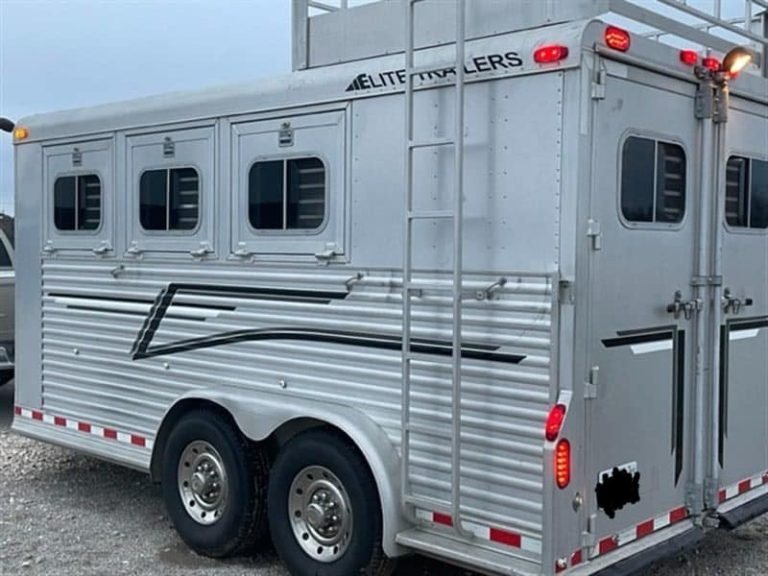 1999 Elite Custom 3 Horse Trailer – Rotating Saddle Rack – Rear three-quarter view showing the side windows, ladder, and rear doors