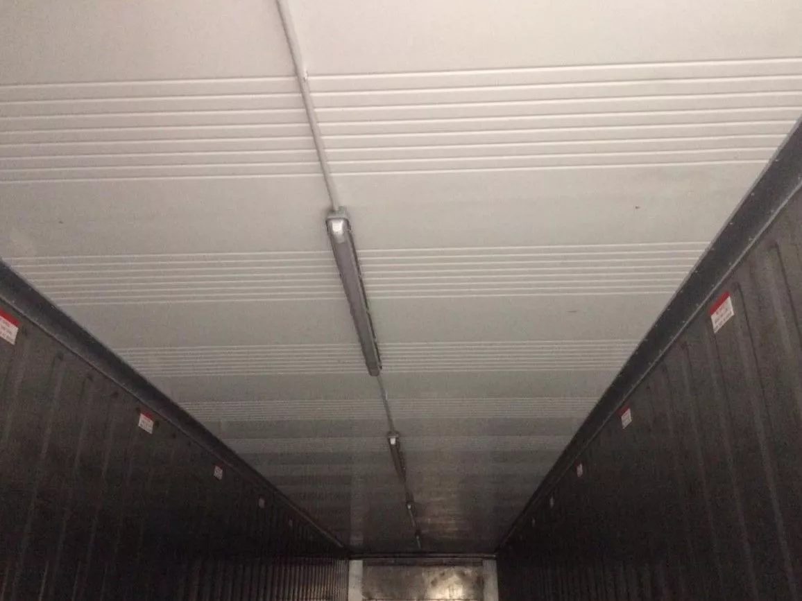 40ft High Cube Reefer Container – Deep-Freeze Cold Storage – empty refrigerated container interior with ceiling lights and ribbed walls