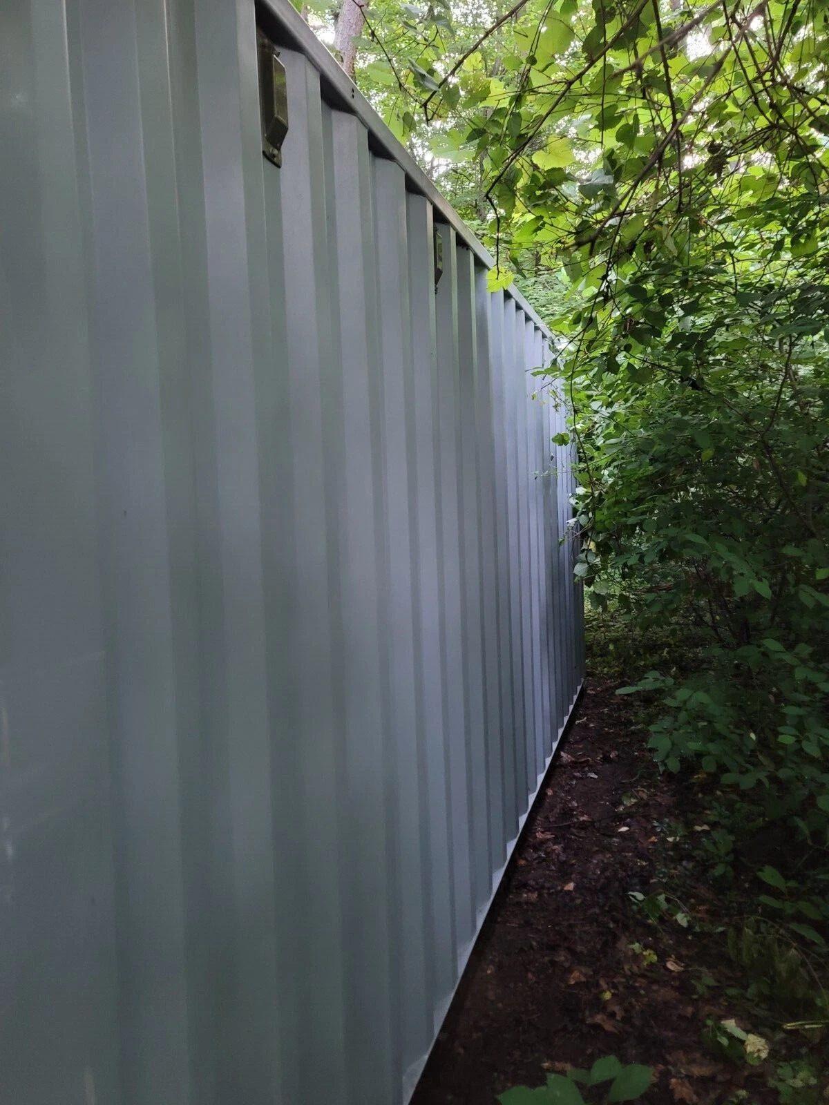 20ft Used Shipping Container – Wind & Watertight Storage – angled view along container side beside dense vegetation