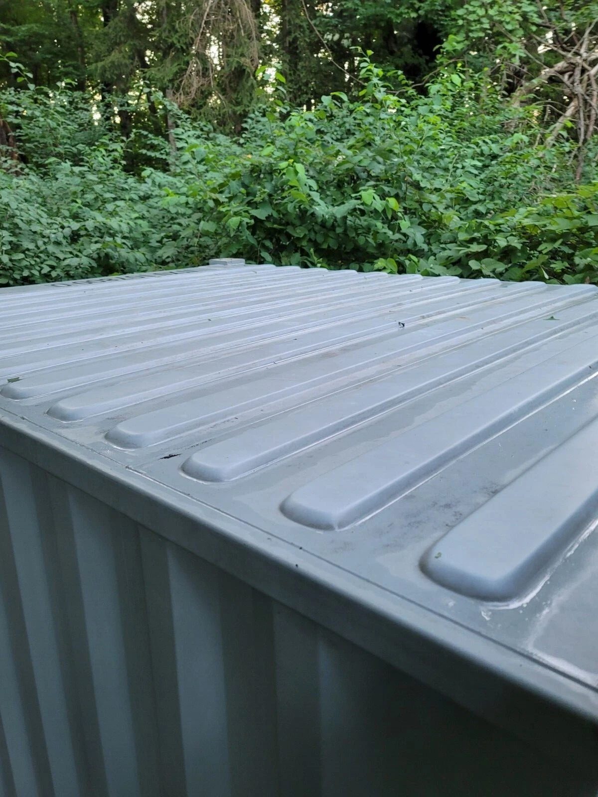 20ft Used Shipping Container – Wind & Watertight Storage – corrugated container roof and upper side beside dense foliage