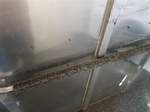 2001 4 Star 2 Horse Bumper Pull Trailer – Slant Load – Close up of a padded bar inside the front dressing room area