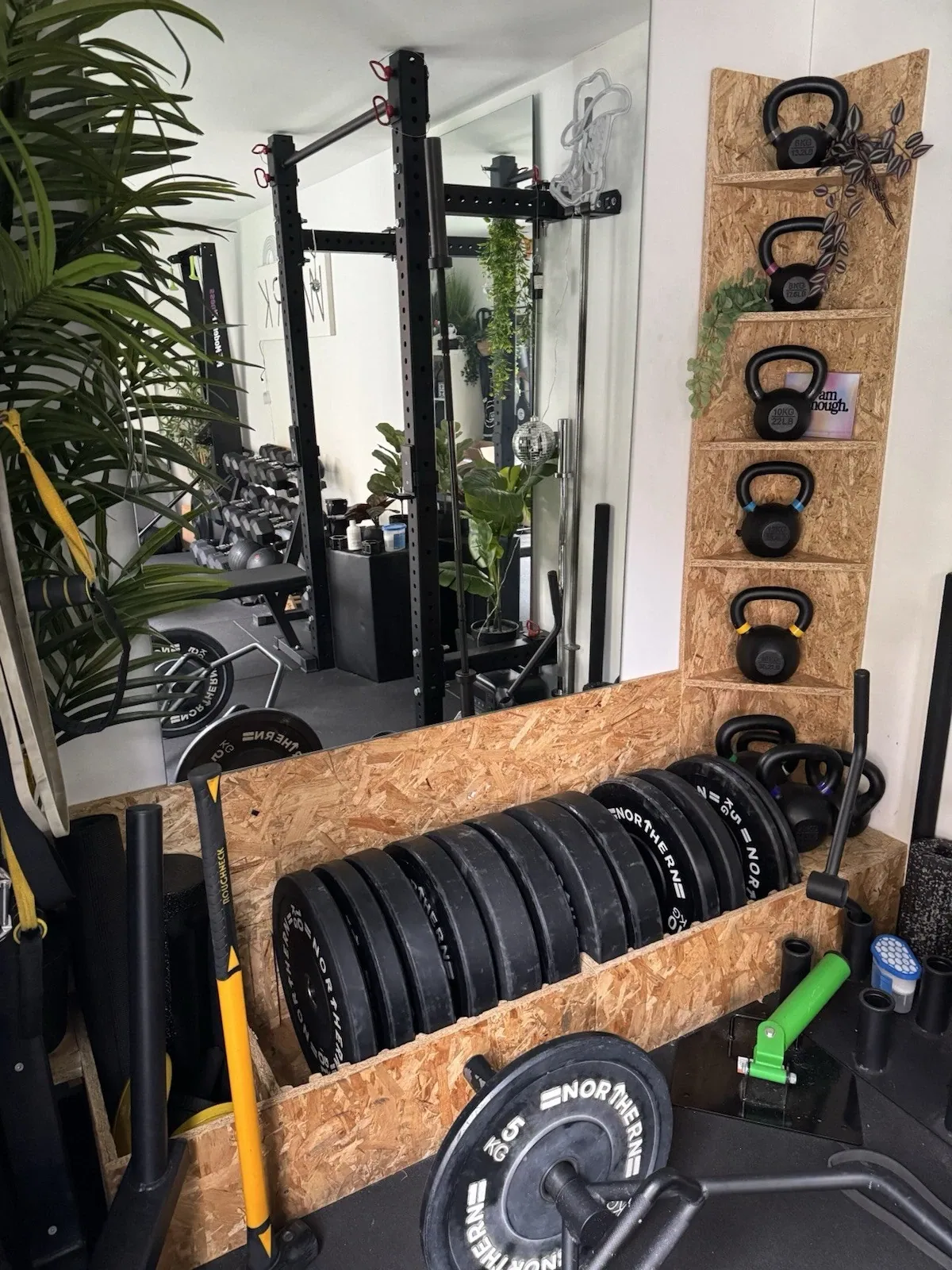 20ft Converted Container Office – Private Gym Configuration – gym interior with weight plates, kettlebells, mirrors and plants