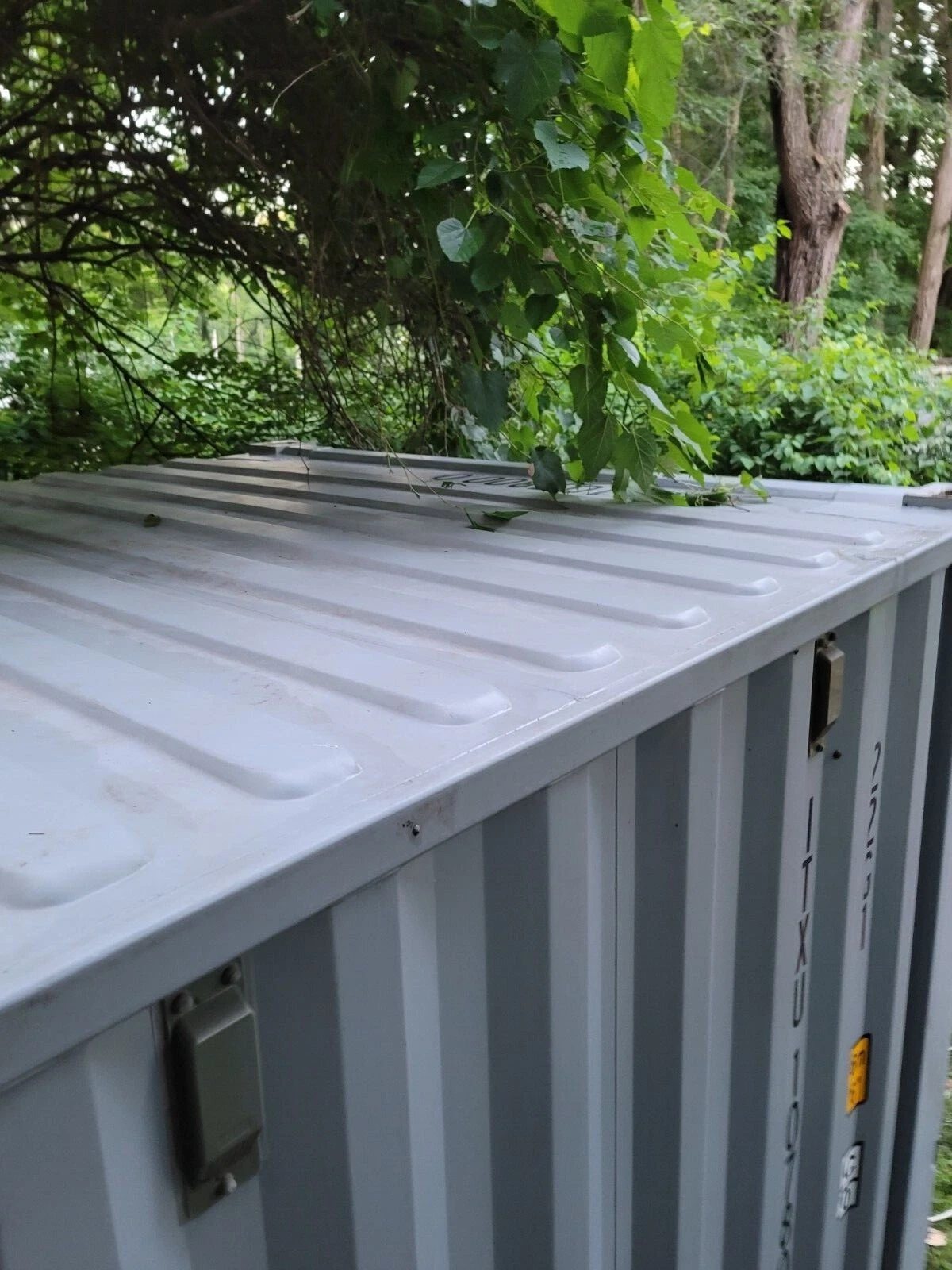 20ft Used Shipping Container – Wind & Watertight Storage – Close-up of container roof and side beneath overhanging foliage