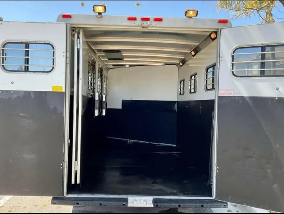 1999 Sundowner 3 Horse Trailer – Removable Rear Tack – View through open rear doors into the empty black and white interior